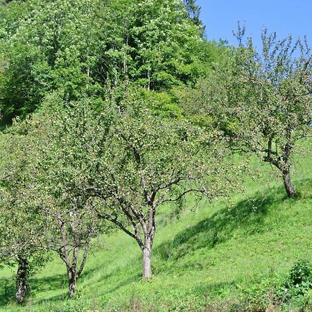 Apartments Tourist Farm Storman With Ev Ch-Station Tržič Εξωτερικό φωτογραφία