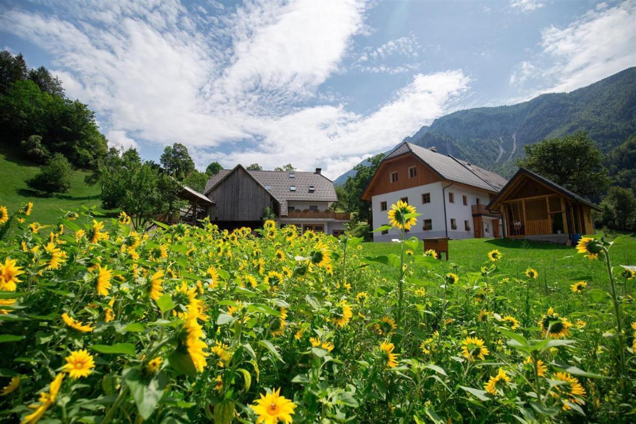 Apartments Tourist Farm Storman With Ev Ch-Station Tržič Εξωτερικό φωτογραφία