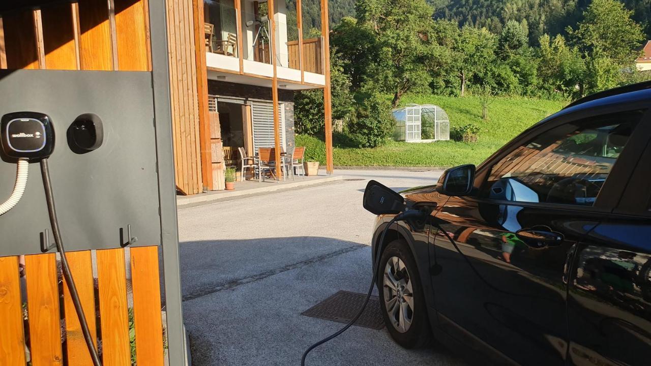 Apartments Tourist Farm Storman With Ev Ch-Station Tržič Εξωτερικό φωτογραφία